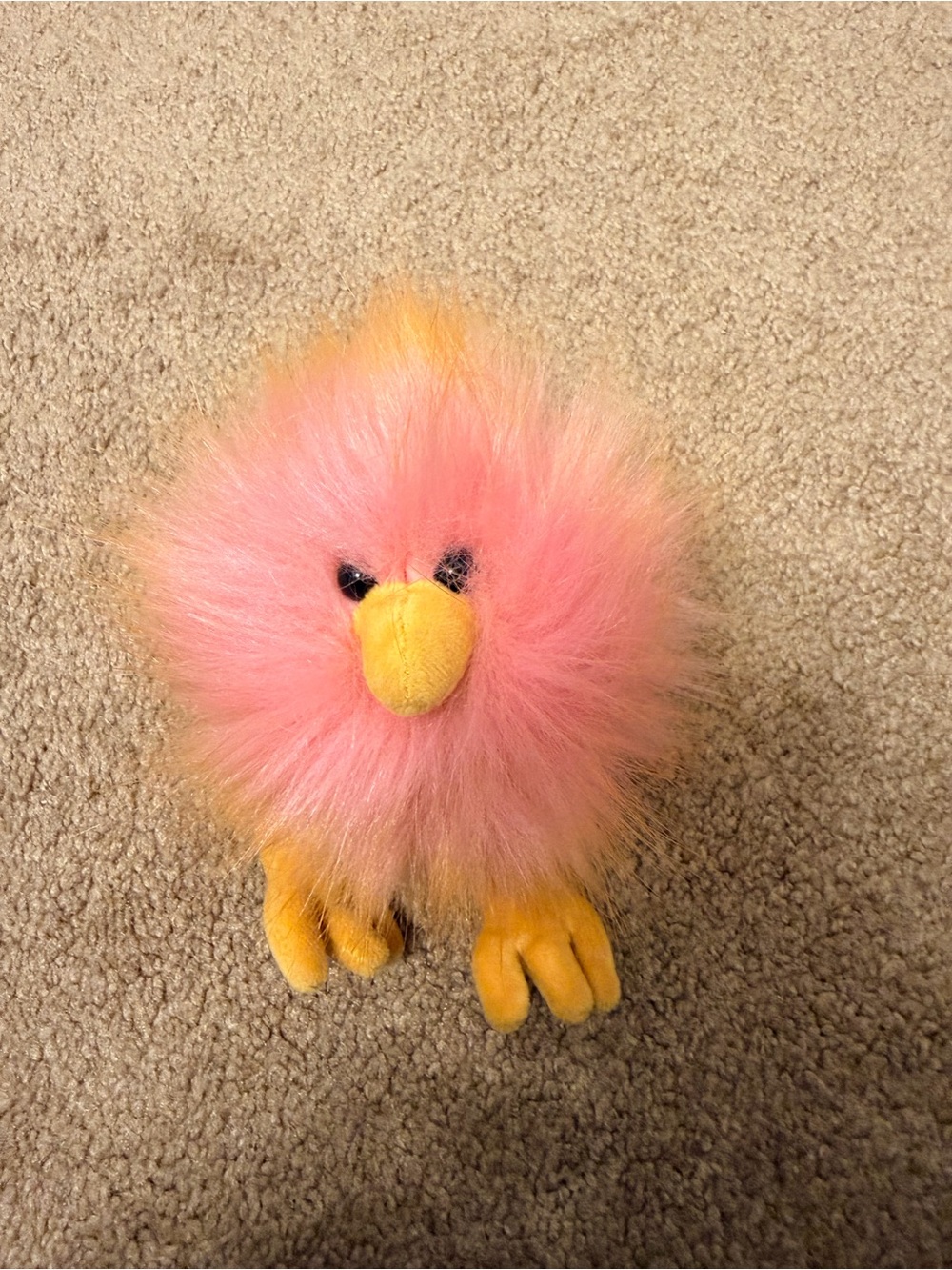 Yellow and pick Crazy Chick Jelly Cat
